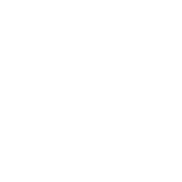 Browser Sandbox's icon