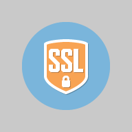 SSLyze's icon